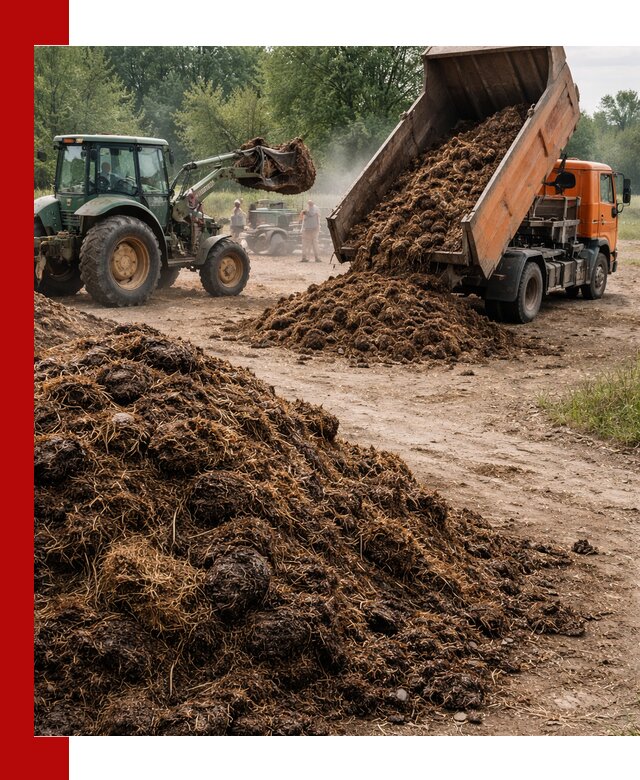Доставка навоза самосвалами в Киселёвске для сельхозпотребностей